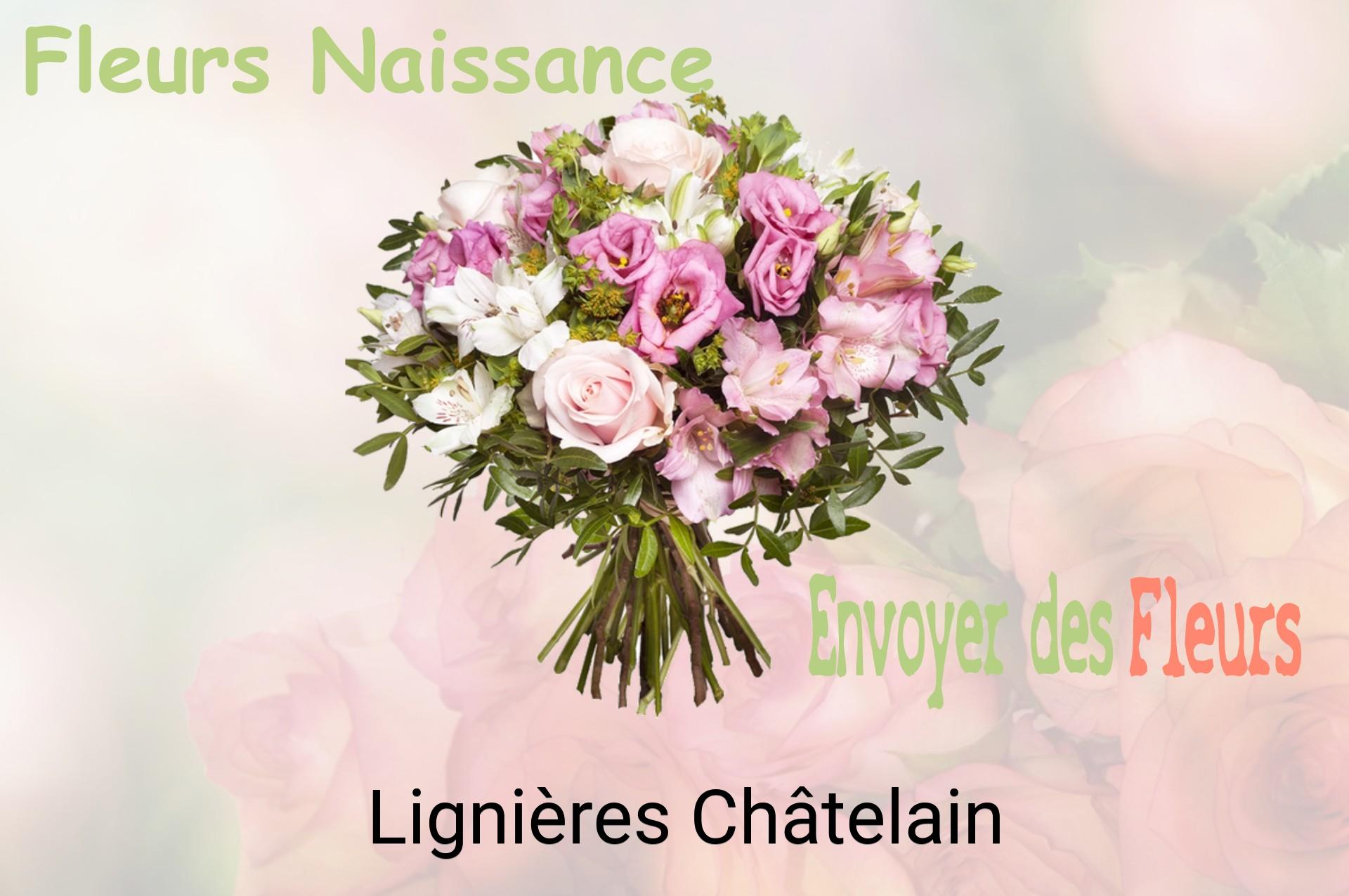 Bouquet de fleurs de naissance livré à Lignières-Châtelain